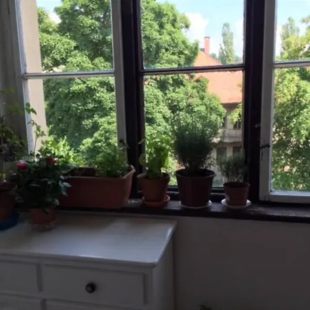 Appartement Easy Living In Center +free Parking *