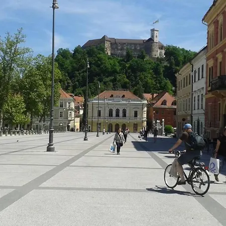 Appartement Easy Living In Center +free Parking
